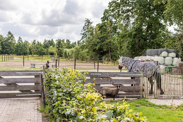 Medium property photo - Kaleweg 9, 9865 TC Opende